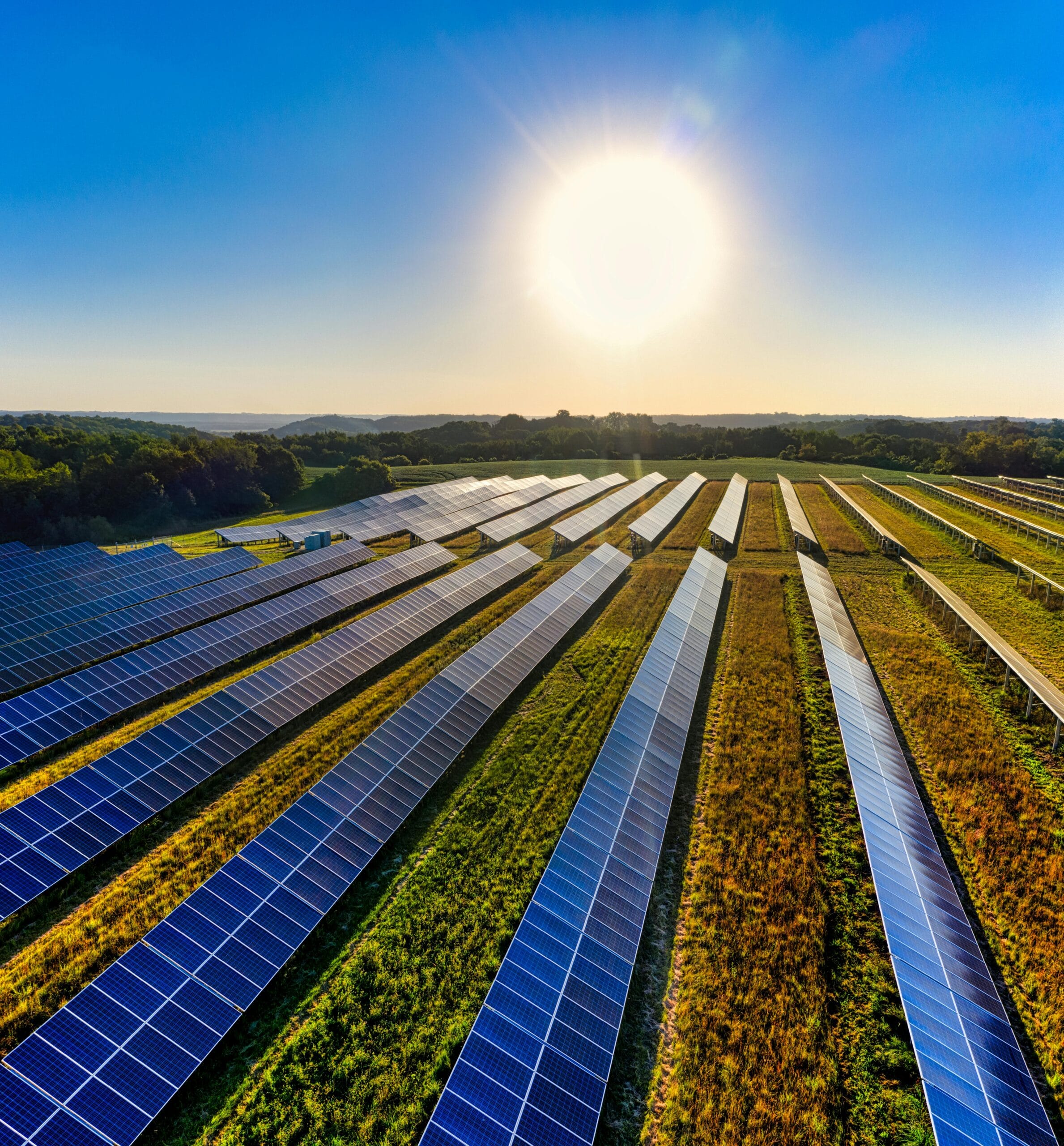 Solar Energy Explained: Technology, Benefits, and Growth | EO Energy
